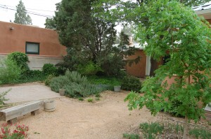 Xeriscaping in Albuquerque - 2208 Frederick PL NW