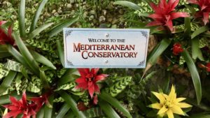 Mediterranean-Conservatory-ABQ-BioPark-Botanical-Garden-The-Sugar-Team